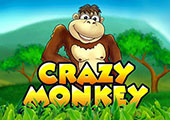 Crazy Monkey